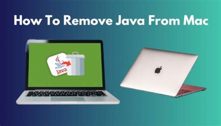 Should I remove Java from my Mac