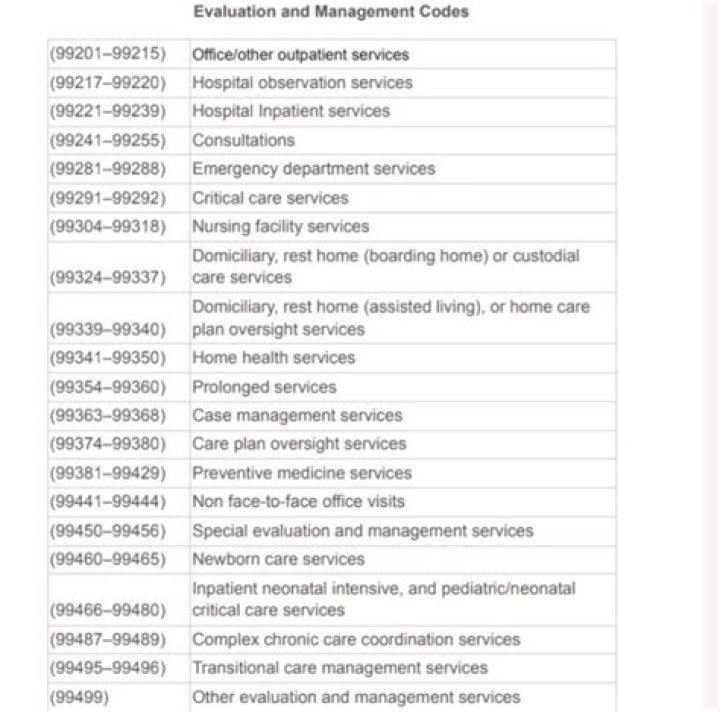 What are evaluation and management CPT codes