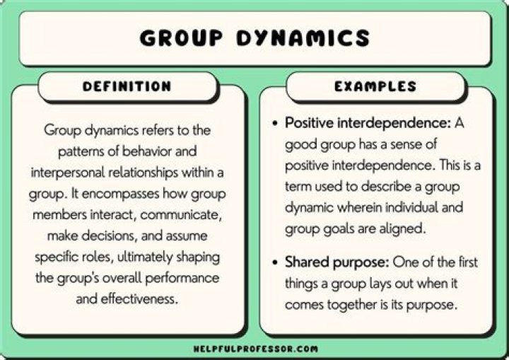 What are group dynamics examples