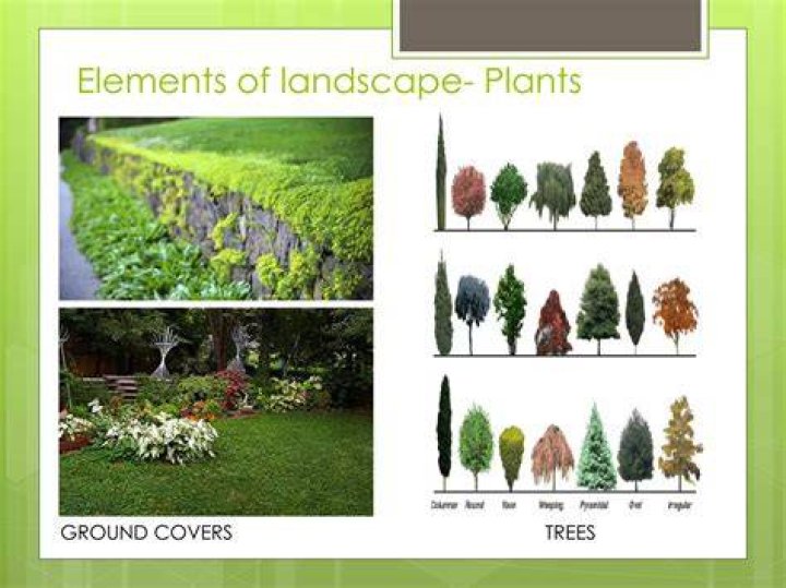 What are landscape elements