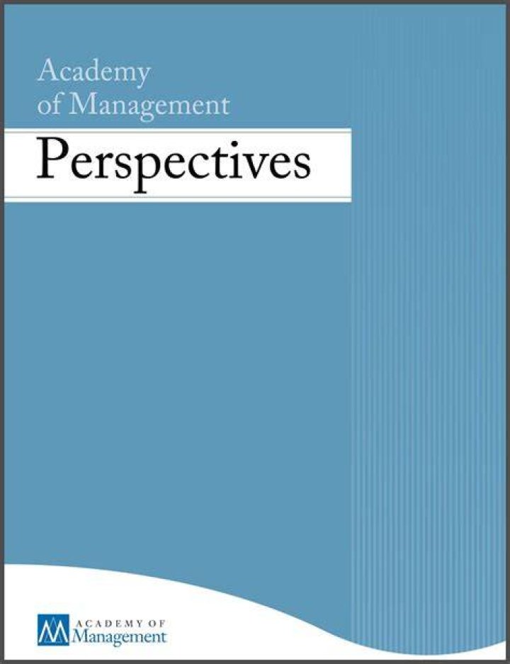 What are management perspectives