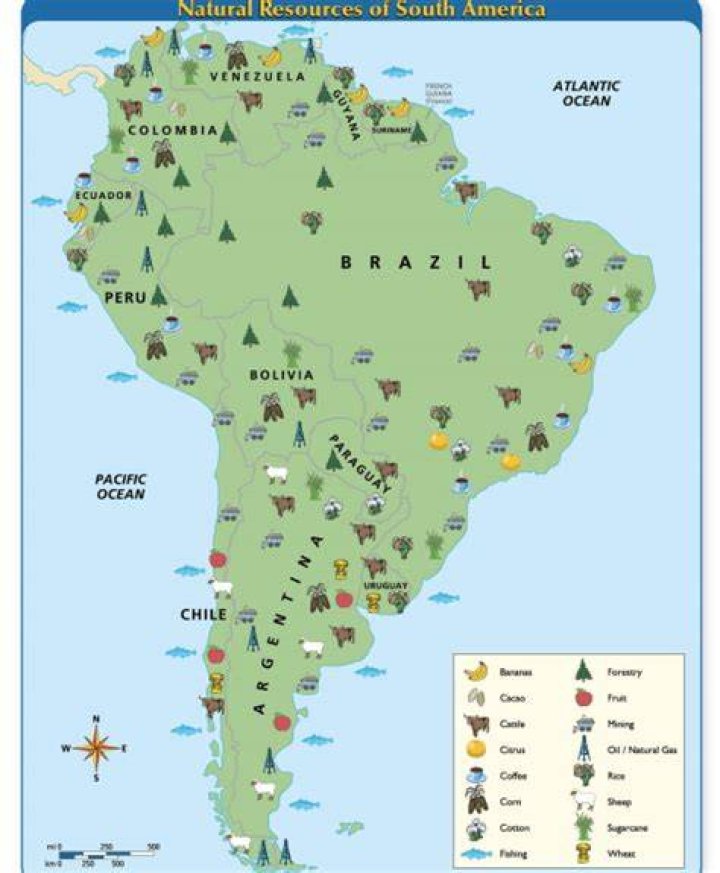 What are some natural resources in Latin America