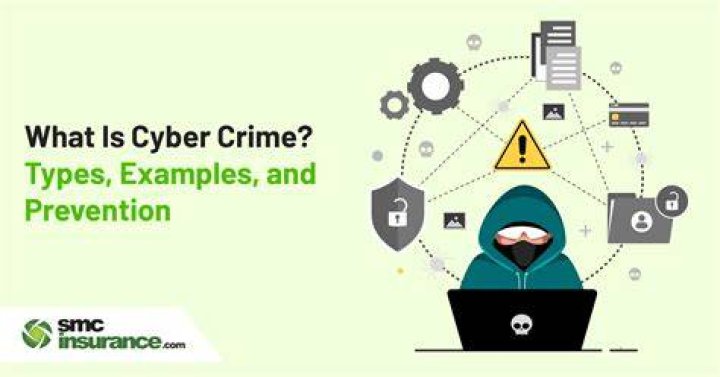 What are some types of computer crimes