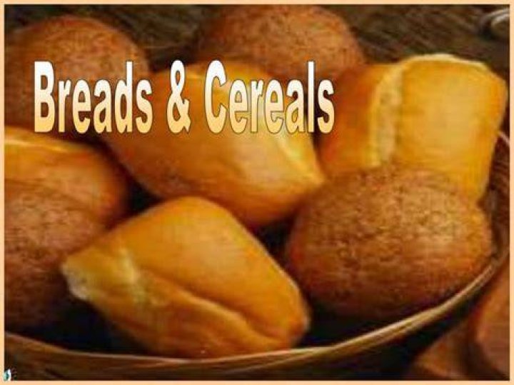 What are the chief nutrients found in breads and cereals