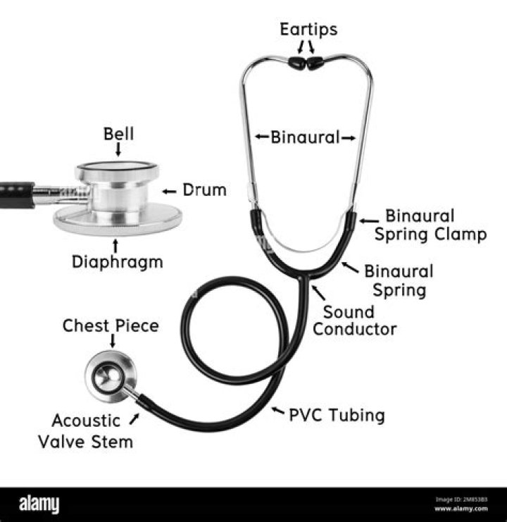 What are the components of a bell