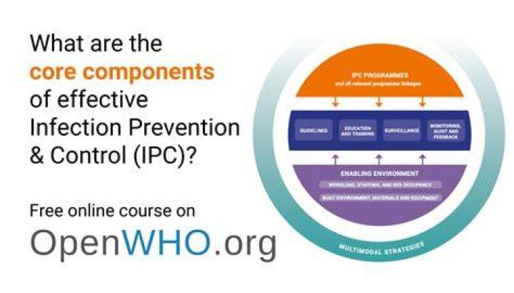 What are the core activities of an infection prevention and control program