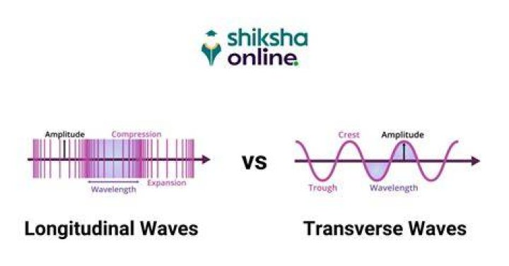 What are the differences between longitudinal and transverse waves