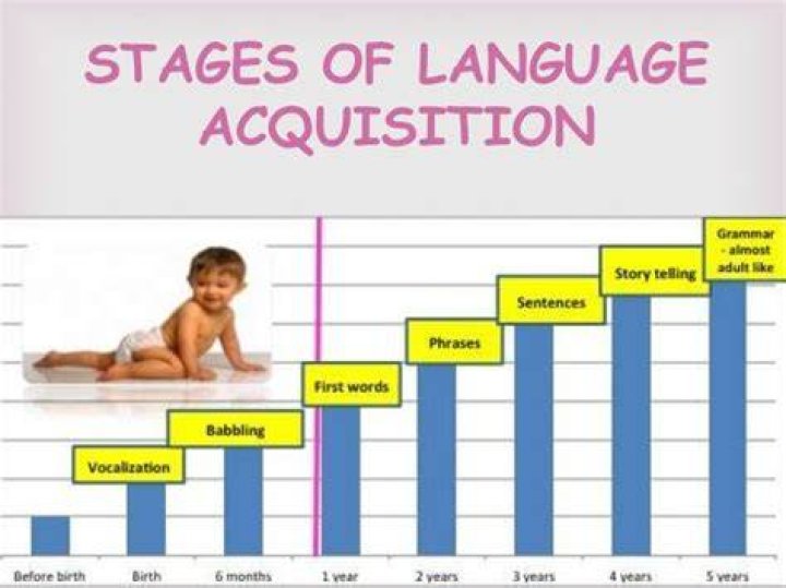 What are the four stages of language acquisition