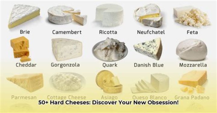 What are the hardest cheeses
