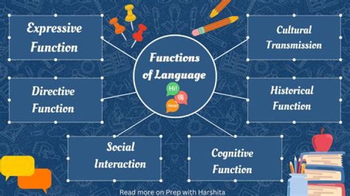 What are the language function