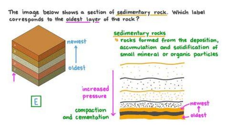 What are the layers of sedimentary rock called