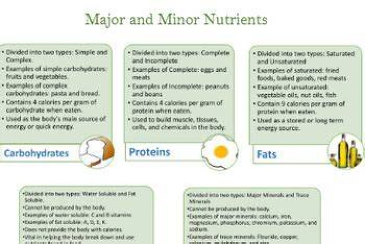 What are the major and minor nutrients