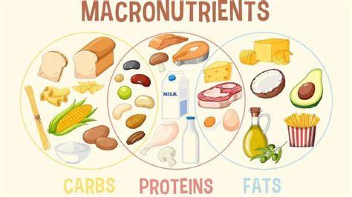 What are the nine macronutrients