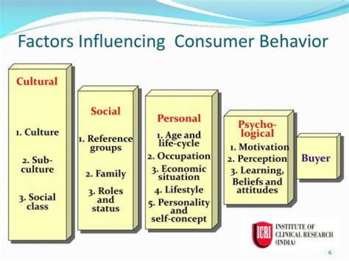 What are the social factors that influence consumer Behaviour