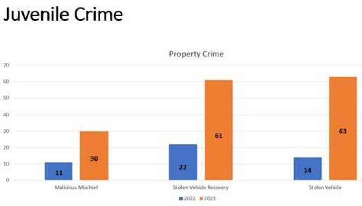 What are the statistics of juvenile delinquency