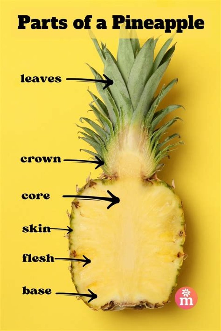 What are the things on a pineapple called