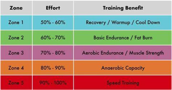 What are training zones
