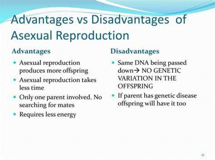 What are two disadvantages of asexual reproduction
