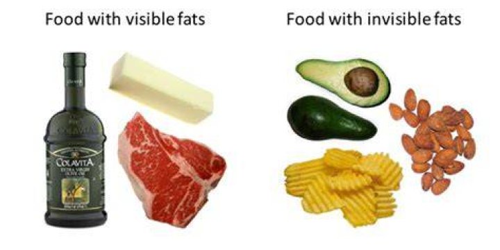 What are visible and hidden fats