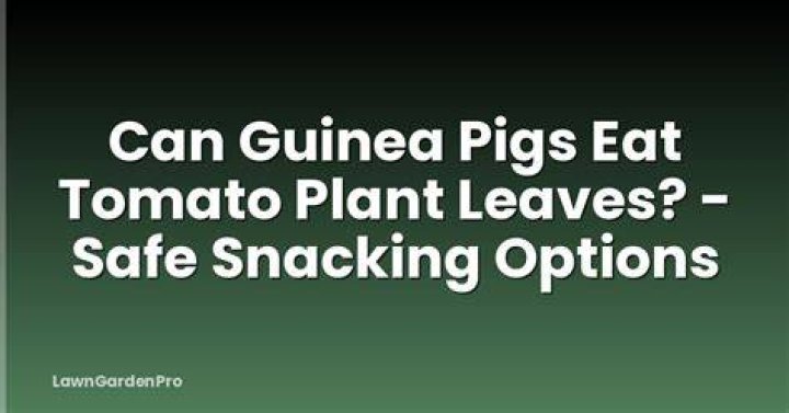 What can I plant for pigs