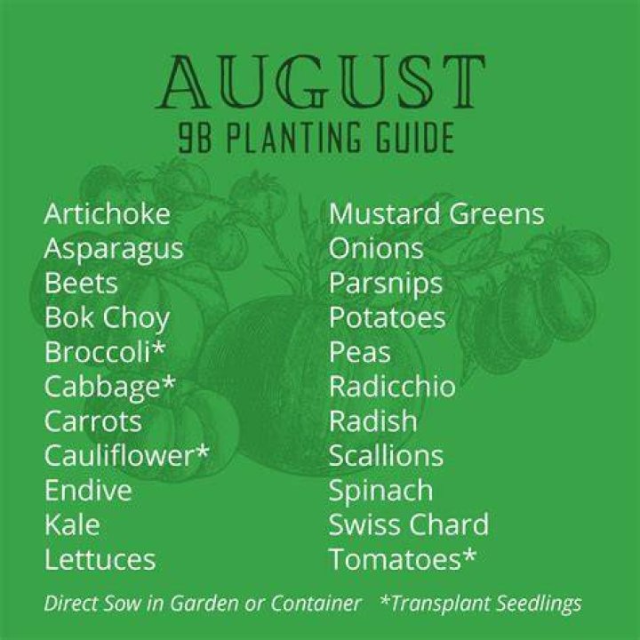 What can I plant in August in California