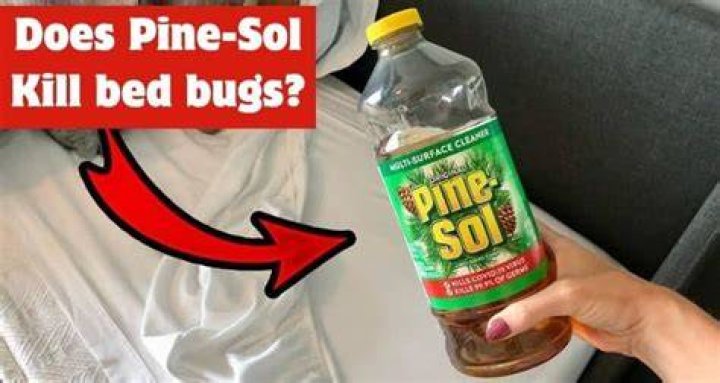 What can I use instead of Pinesol