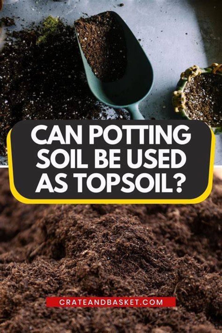 What can soil be used for