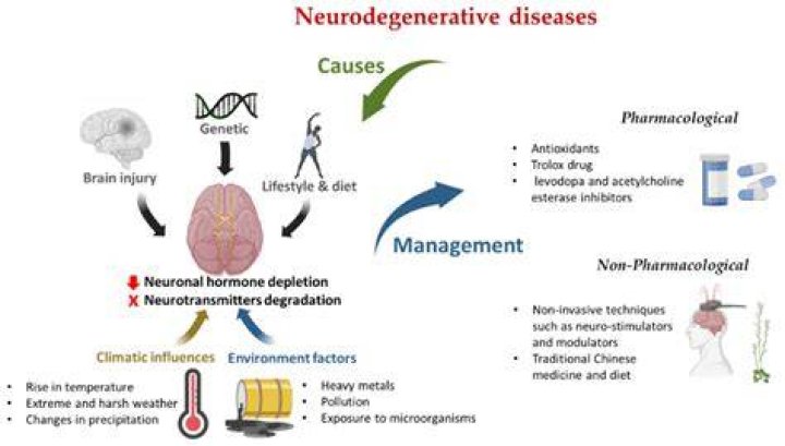 What causes neurodegenerative disease