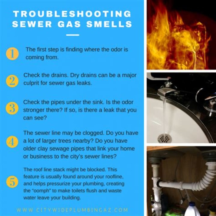 What causes sewer gas smell in my basement