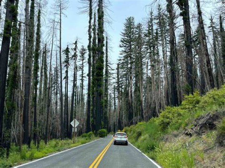 What city is big basin in