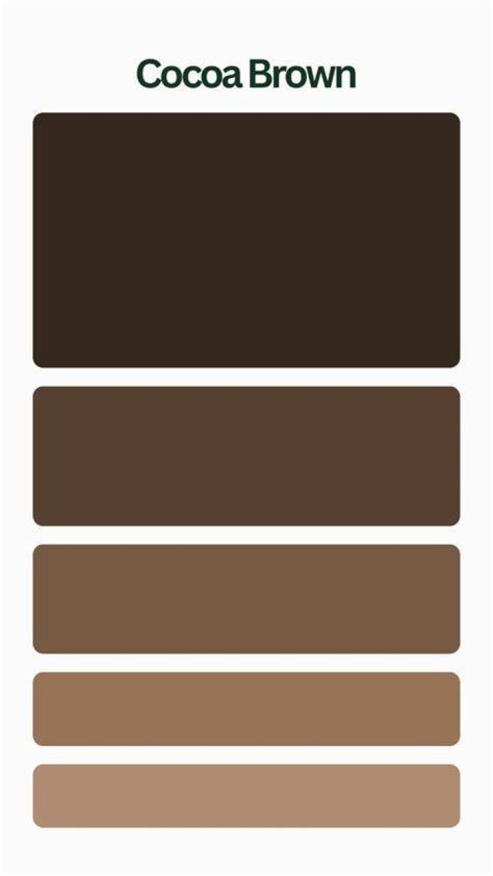 What color goes with cocoa
