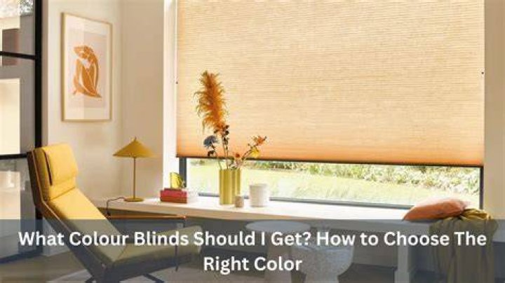 What color should Window blinds be