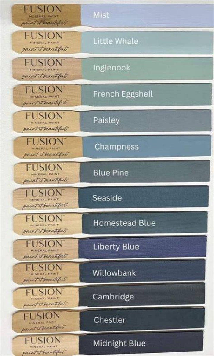 What colors does Fusion paint come in