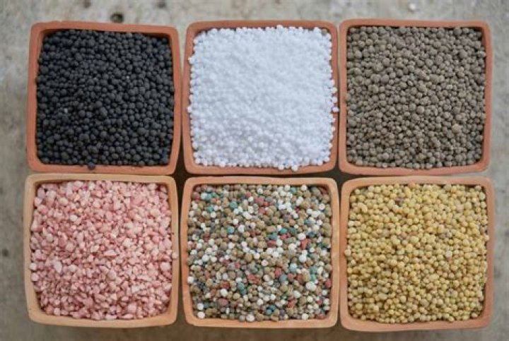 What compounds are in fertilizer