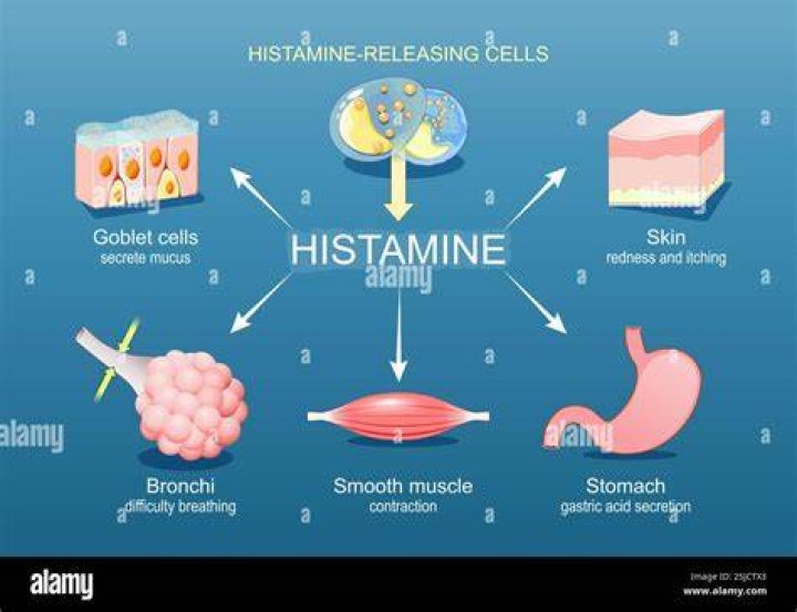 What controls histamine release