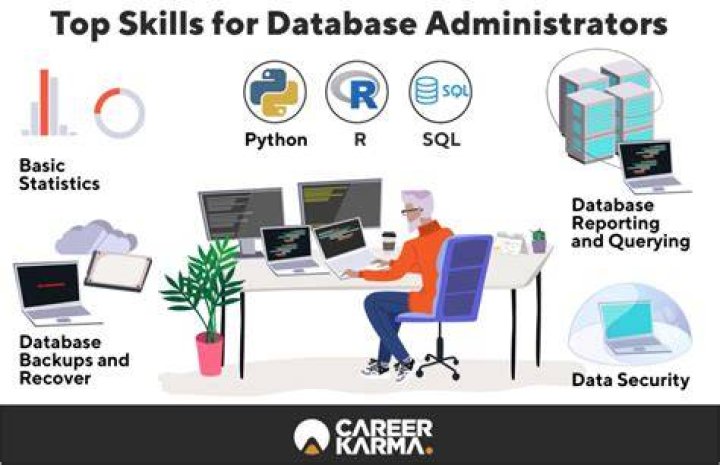 What courses should I do to become a database administrator
