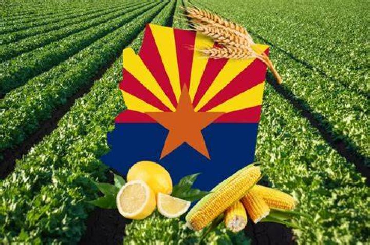 What crops can be grown in Arizona