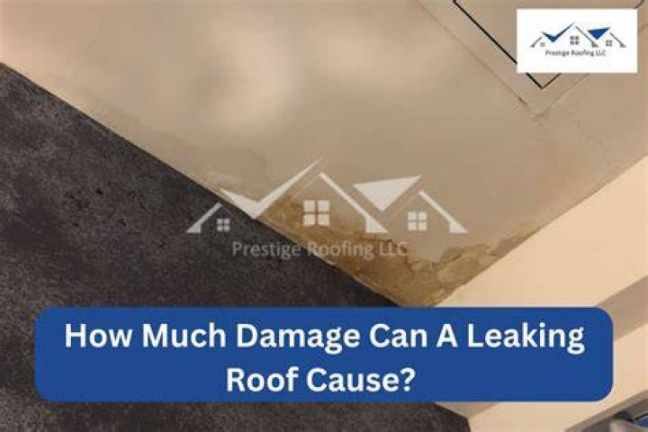 What damage can a leaking roof cause