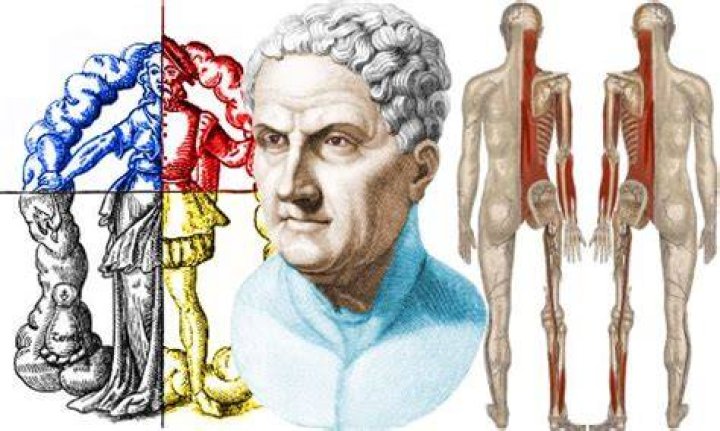 What did Galen contribute to medical science