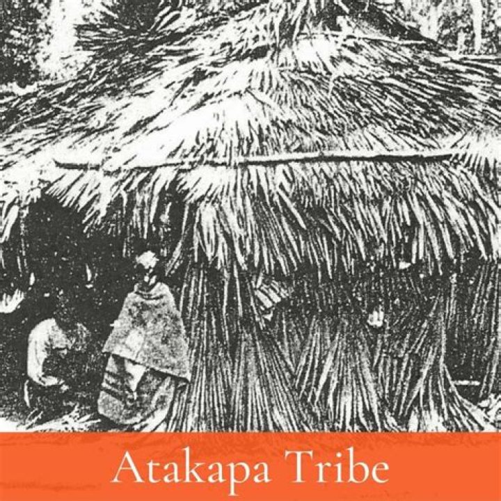 What did the Atakapa tribe eat