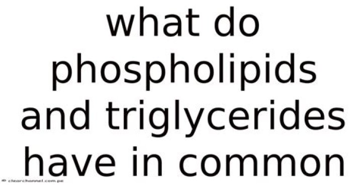 What do both triglycerides and phospholipids have in common quizlet