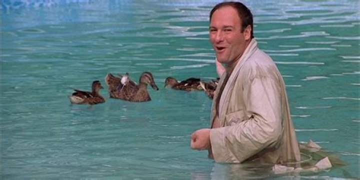 What do the ducks mean in Sopranos