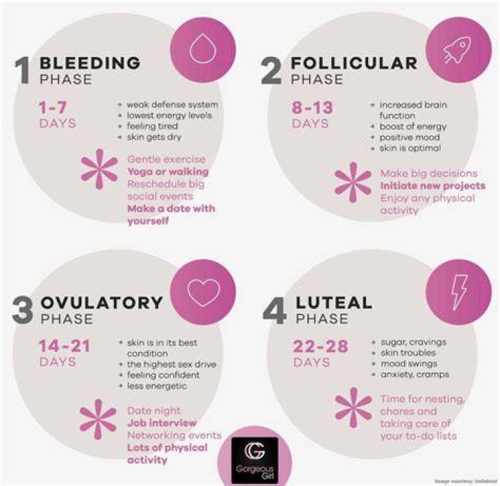 What do you shed during menstruation