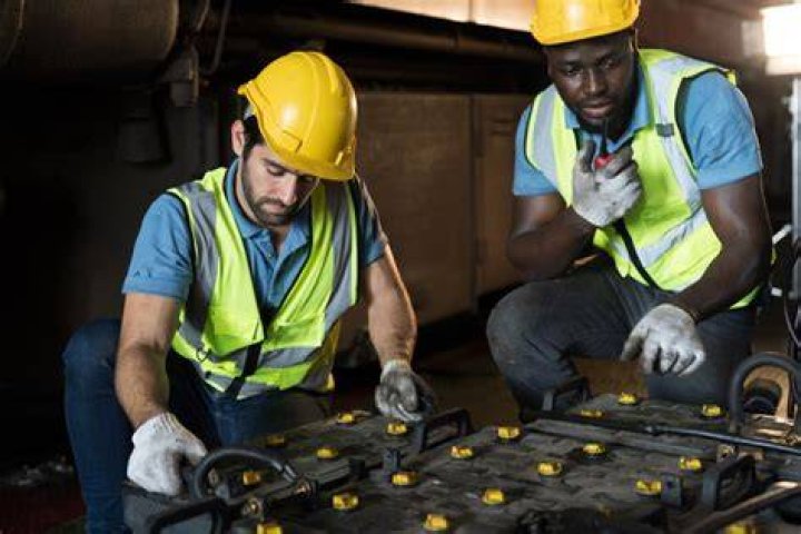 What does a lead inspector do