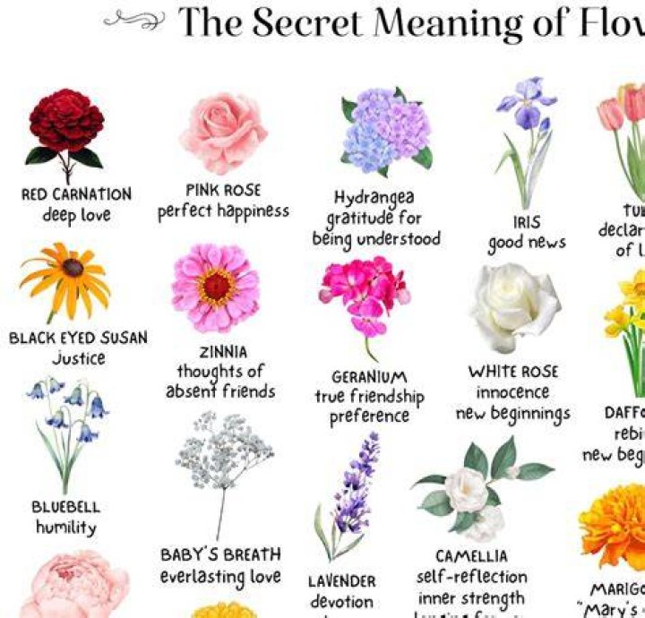 What does a single flower mean