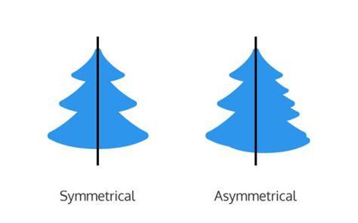 What does asymmetry mean in medical terms