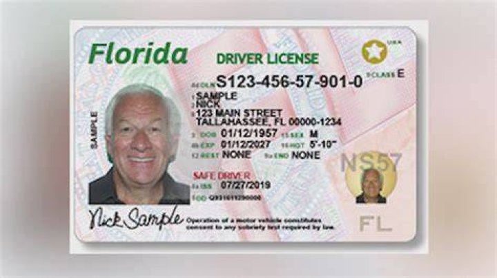 What does BPO mean on Florida drivers license