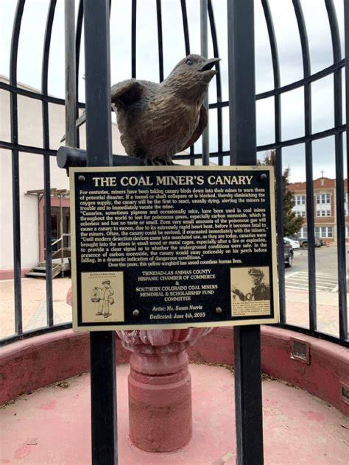 What does canary in the mine mean
