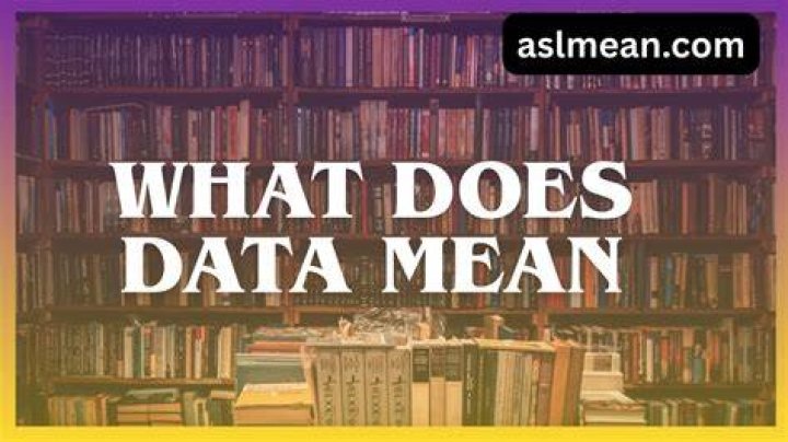 What does data mean in SAS