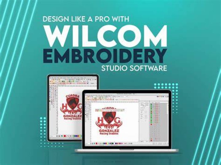 What does embroidery software do